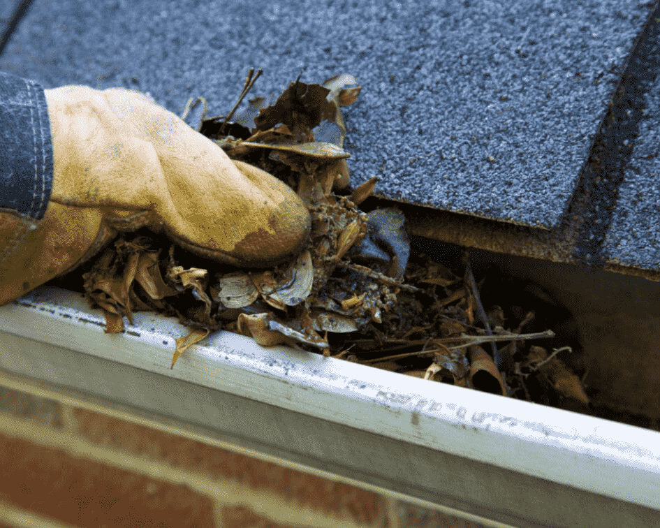 Residential Gutter Cleaning Melbourne